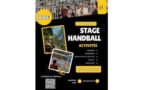 Stage handball du 24 au 28 Aout 2026